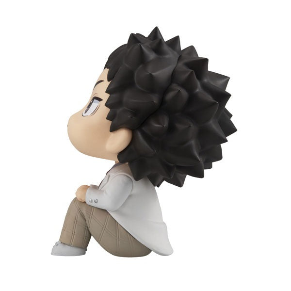 (Pre-Venta) LookUp - Hajime Iwaizumi
