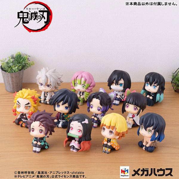 (Pre-Venta) LookUp - Shinobu Kocho