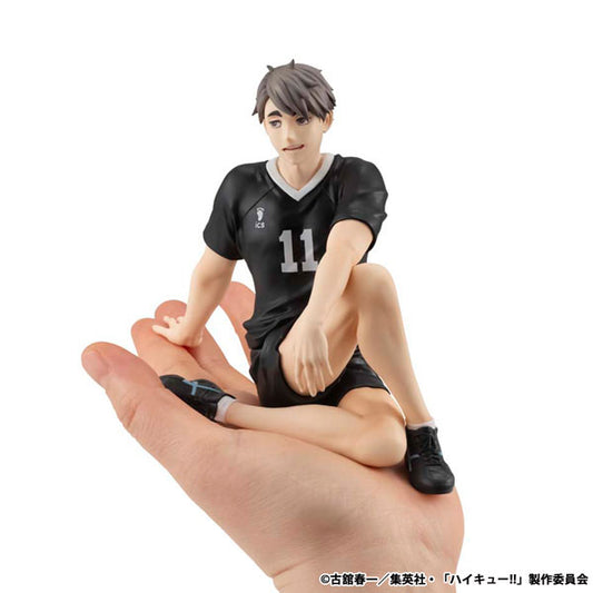 (Pre-Venta) Palm Sized - Osamu Miya