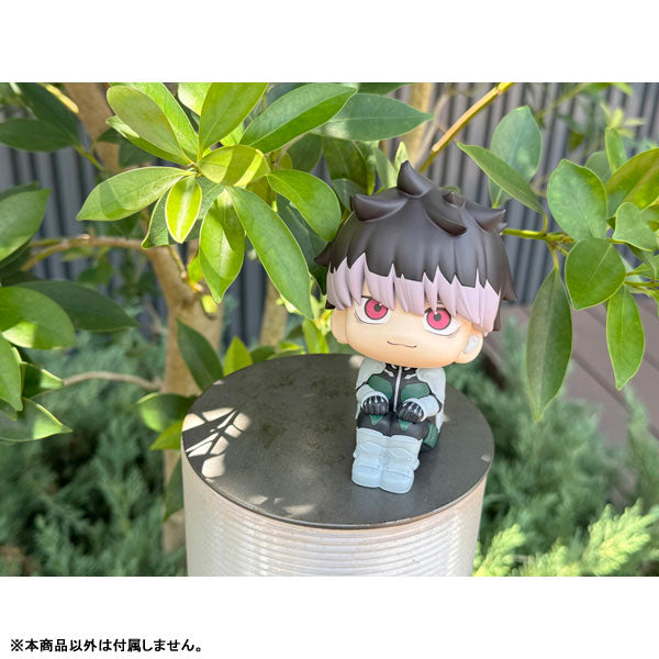 (Pre-Venta) LookUp - Gen Narumi