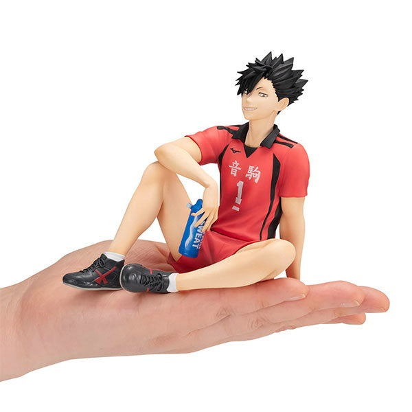 (Pre-Venta) Palm Sized - Tetsuro Kuroo