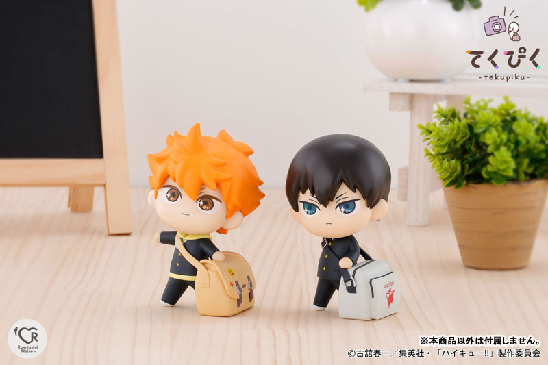 (Pre-Venta) TakePic - Shoyo Hinata