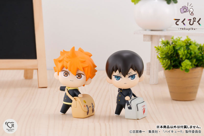 (Pre-Venta) TakePic - Shoyo Hinata