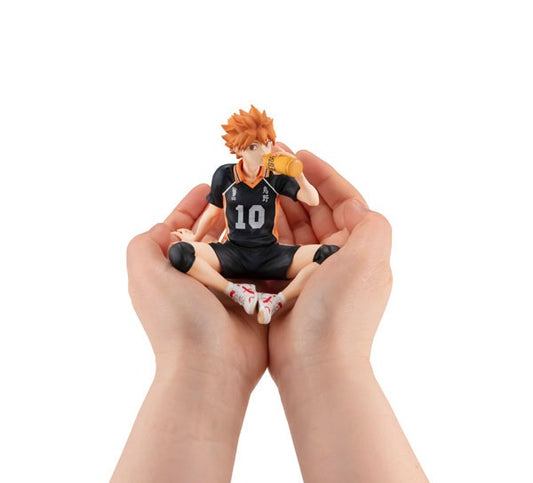 (Pre-Venta) Palm Sized - Shoyo Hinata