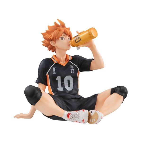 (Pre-Venta) Palm Sized - Shoyo Hinata