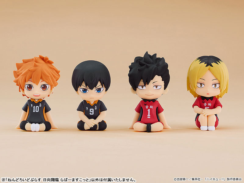 (Pre-Venta) Nendoroid Plus - Shoyo Hinata