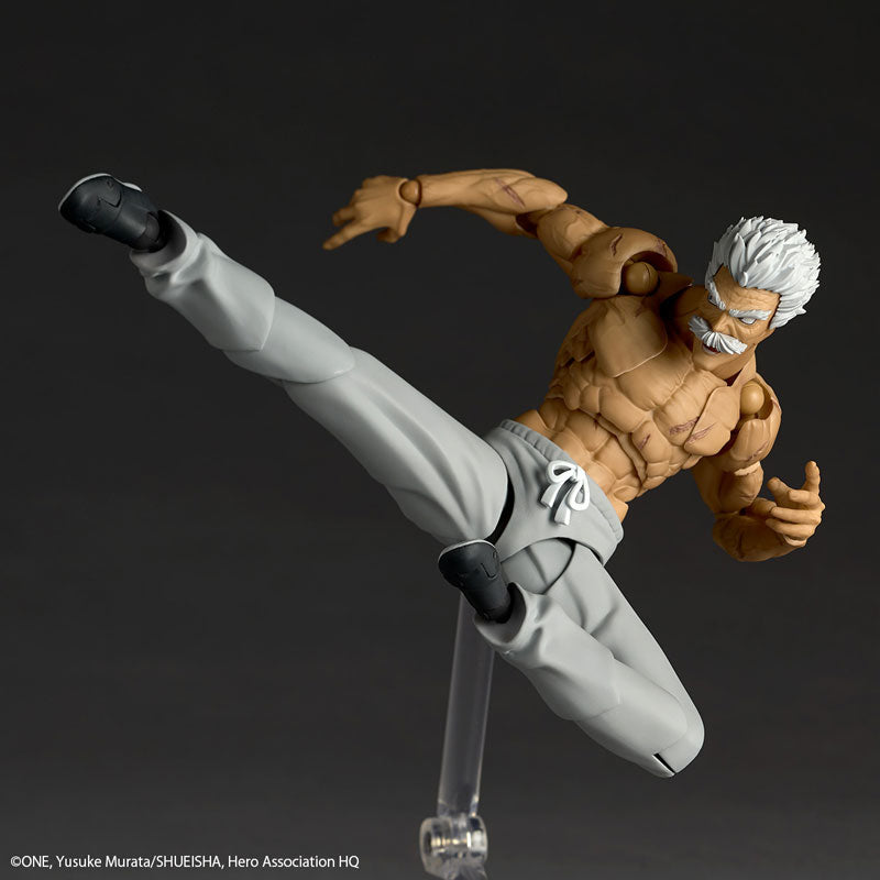 (Pre-Venta) Revoltech Amazing Yamaguchi - Silver Fang