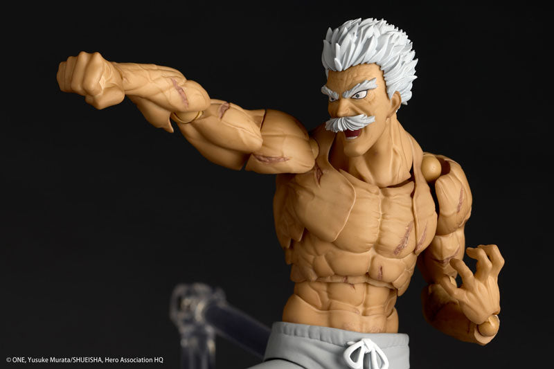(Pre-Venta) Revoltech Amazing Yamaguchi - Silver Fang