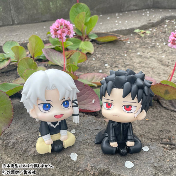 (Pre-Venta) LookUp - Hakuri Sazanami