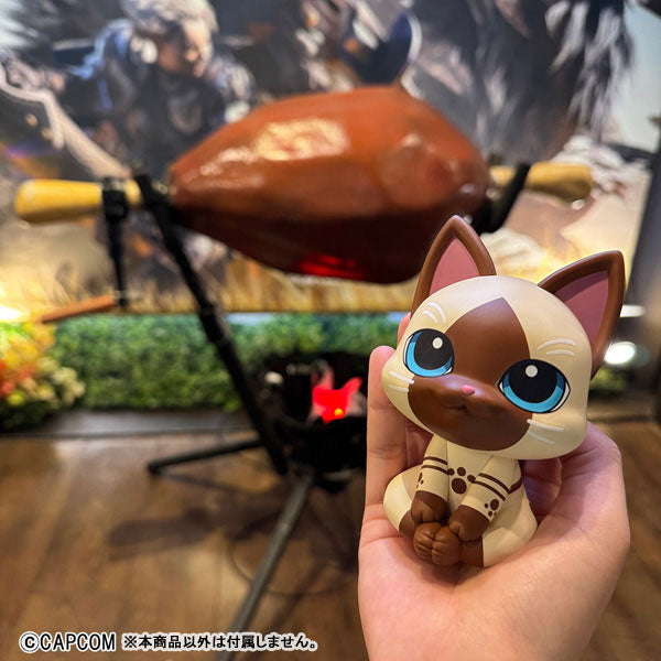 (Pre-Venta) LookUp - Felyne